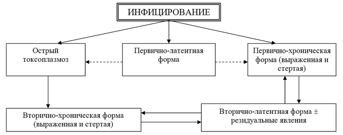 Формы течения токсоплазмоза человека