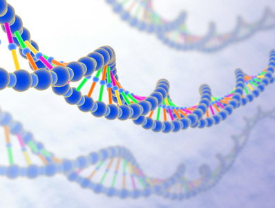 История молекулы ДНК