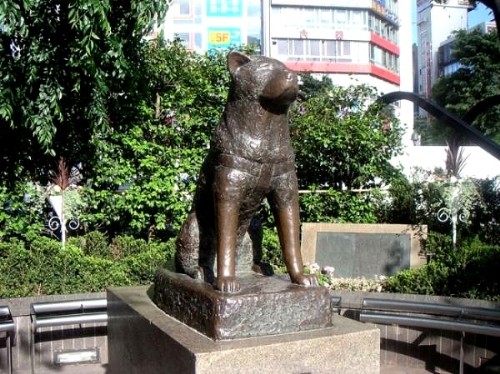 Памятник собаке Хатико (Хачико) в Токио на станции Сибуя